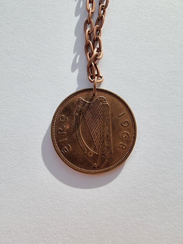 Cearc agus sicín óg - Hen and chicks Punt Irish Coin